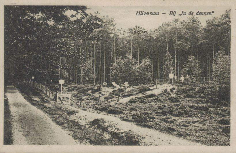 theehuis in de Dennen